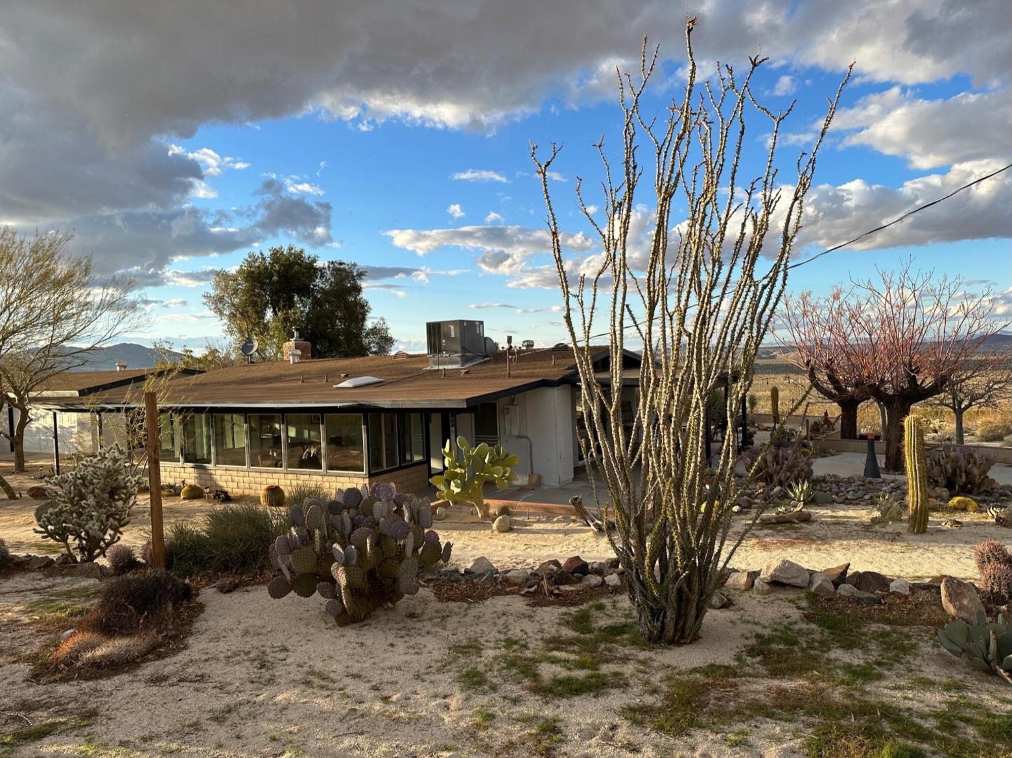The Outpost Joshua Tree: Hot Tub, Gameroom, Jtnp Esterno foto